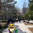 카페일마지오안