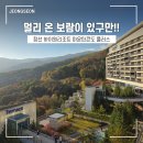 마운틴카워시 | [정선 여행] 하이원리조트 마운틴콘도 플러스 그랜드 디럭스 체크인 시간 방법 꿀팁 숙소 후기