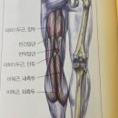 헬스에 반하다 이미지