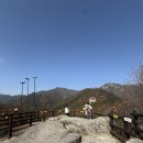 팔공산케이블카 | 팔공산 케이블카 후기,부모님과 함께한 가을 나들이 🍁