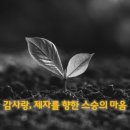 감사랑리더십 태권도장 메트로지점 이미지