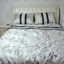 라라아비스 이미지