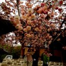 서해목장 이미지