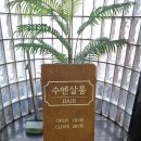 수엔미용실 | 경기도 광주 미용실 수엔살롱 펌후기
