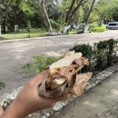 꼬치니 | 🇲🇽 [메리다 4일차] 우스말 유적지와 숨겨진 보석 같은 세노떼 추천