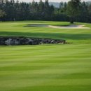 BEST 골프클럽 이미지