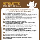 강아지 공화국 네이버블로그