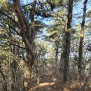 대성초삼거리 이미지