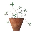 산북초등학교 후문 이미지