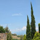 메레(mere) | [조지아] 사랑의 도시 &#39;시그나기&#39;ㅣ와이너리 2곳 후기, 숙취후기(?)