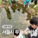 민들레공원 | 서울 아이와 가볼만한 곳 무료 숲체험 한강공원 난지수변생태학습센터