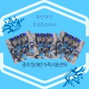 푸쉬푸쉬 티스토리