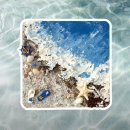 [하비코] 스컬프쳐 페인팅 바다풍경 만들기 DIY🌊 방과후 돌봄 유아 어르신 미술 수업 패키지