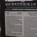 명옥헌민박 이미지