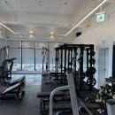 NY Gym(뉴욕짐) 이미지