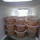 아이스짱 이미지