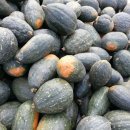 조암성모의원 이미지