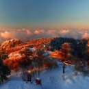 태산글로벌 이미지