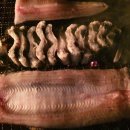 금성산성오토캠핑장 이미지