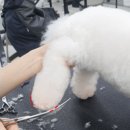 풋라인