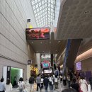 2026 서울국제도서전 평일 관람 후기