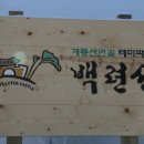농업회사법인 주식회사 연꽃마을 Daum카페