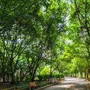 황새울2길 이미지