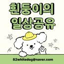 웅진 스마트올 실사용 후기, 초등 4학년 자기주도학습! 이렇게 바뀌었습니다.