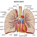 6가지 맛에 숨어 있는 놀라운 건강비밀,./ 이미지