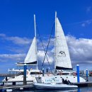 5271 | [김녕요트투어] 제주도 동부 요트 투어 낚시 체험 돌고래 가볼만한 곳