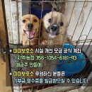 3일째 인스타그램에서 많은 모금 & 3일간 모금 총계 결과 발표 : 226명 5,642,386원 이미지