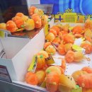 돌아이 뽑기방 이미지