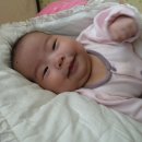 도천어린이집 이미지