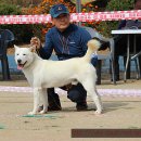 화수초등학교 이미지