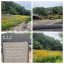 충경사 화장실 네이버블로그