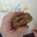 진산명가