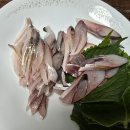 들물횟집 | 🎣 #가조도 실전 방파제 가족낚시 완벽 가이드 | 초보자도 OK! 아이들과 함께 즐기는 낚시 여행