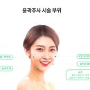 윤곽