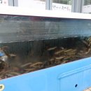 청주 할머니추어탕 이미지