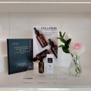 메디포올 | 압구정 속눈썹 메디포올에서 꿀잠 시술 받았어요~!