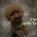빚은대구청구성조점