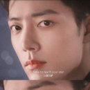 제니스(ZENITH) 이미지