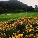 해피니스CC 이미지