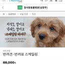 참사랑동물병원 이미지
