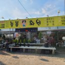 늘봄꽃화원 이미지