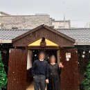 엔제리야 이미지