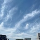 71 | 댕냥이라이프 71cm 스크래처 내돈내산 선물 후기