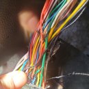 스피드메이트금오사거리점 이미지