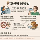 [2025년 10월 ~ 2026년 05일] 안나푸르나(ABC)트레킹+인도 타지마할 11일 이미지