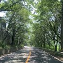 서종 힐링캠핑장 이미지